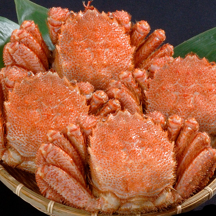【大】毛ガニ 500g 前後×4尾セット 北海道産 姿 味噌 けがに 毛がに カニ 蟹 かに 脚 折脚たし脚入る場合があります