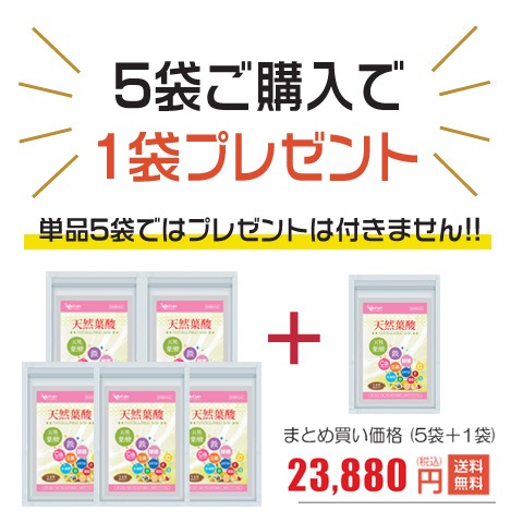 葉酸 サプリ 天然葉酸 お得な5袋セット+1袋プレゼント 360日分 妊活 17,194円