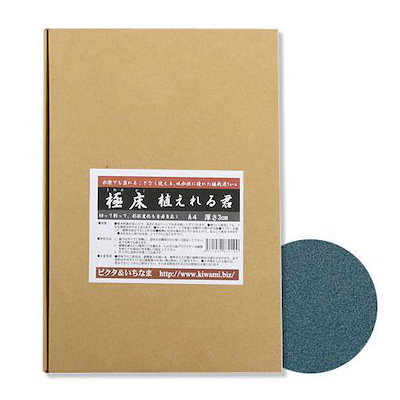 他サイト： ピクタ　極床　植えれる君　Ａ４　３ｃｍ　爬虫類　テラリウム　フォーム　ＣＲＣ17―85―99―00―00の商品画像