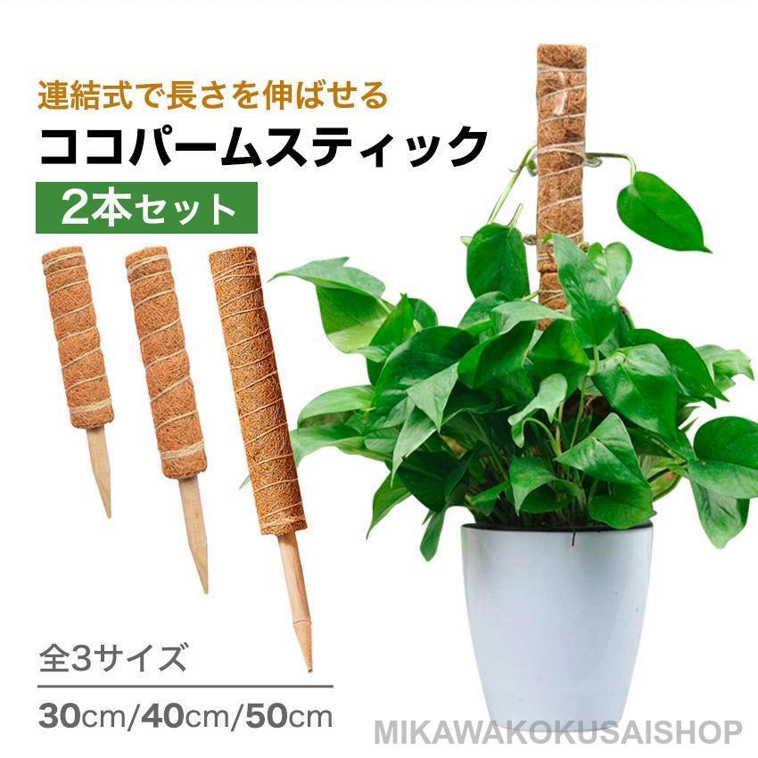 スティック 支柱 2本セット 観葉植物 50cm ココ メーカー直販ココパームスティック 40cm 植物支柱 園芸用 園芸支柱パーツ 30cm モンステラ おしゃれ 高さ調整 植物 ガーデン