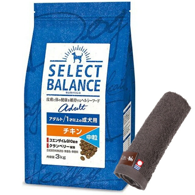 セレクトバランス アダルト チキン 中粒 １才以上の成犬用 3kg【犬想いオリジナル今治ハンドタオルセット】【タオルカラー モカ】