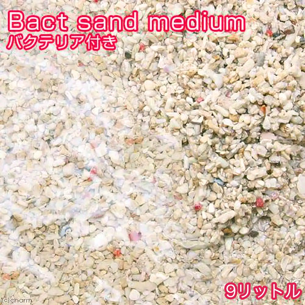 （海水魚）ばくとサンド（立上げ簡単サンド）ミディアム　９リットル　バクテリア付き　ライブサンド　航空便不可　沖縄不可　ＣＲＣ26―65―10―10―30