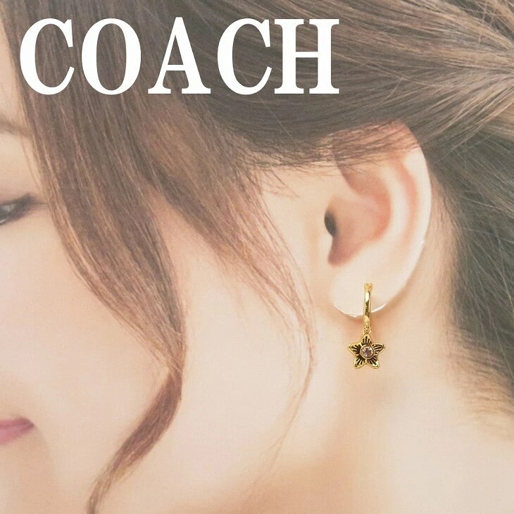 ピアス ラインストーン ワイルドフラワー 花 揺れる C4272GLD 【ネコポス】