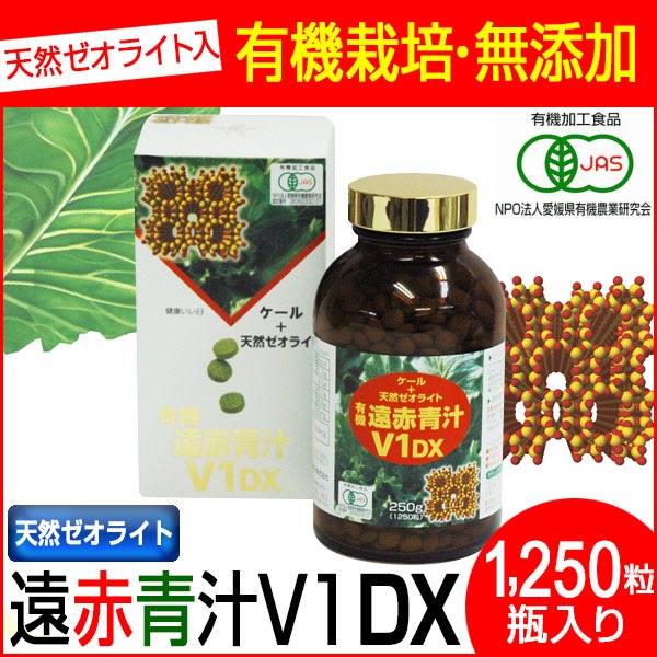 正規代理店 DX V1 1250粒 1510 ビン 青汁・ケール飲料 タイプ:1250粒 - armarinhodasnovidades.com.br