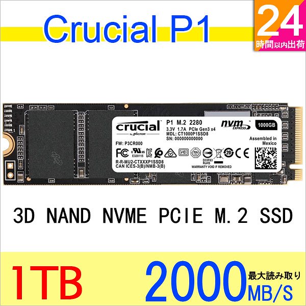 P1 CT1000P1SSD8