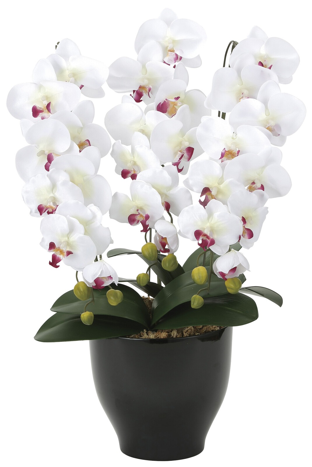 光触媒加工アートフラワー 胡蝶蘭セリース 日本製 ホワイト FL-2764