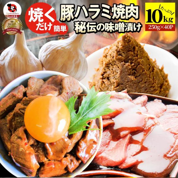 焼肉 豚ハラミ焼肉（味噌タレ漬け）10kg（250g×40） タレ 秘伝 焼肉セット 焼肉 ランキング1位 やきにく ハラミ アウトドア お家焼肉 レジャー 送料無料