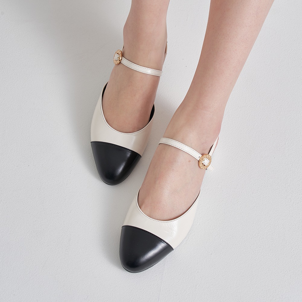 ヘイリーによる14日間の制作   HJ23007_3 カラーズ