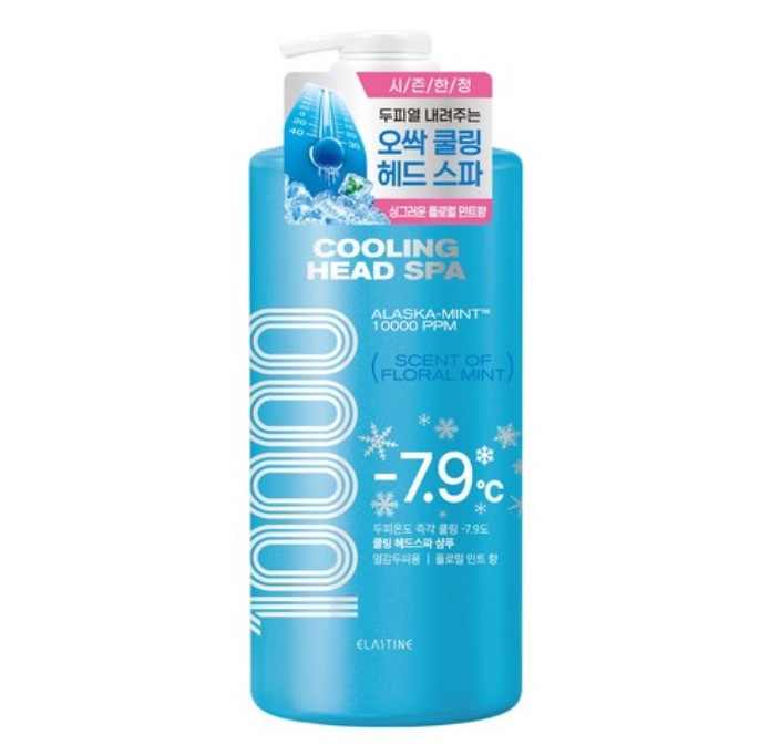 クーリング ヘッドスパ 10000 シャンプー フローラルミントの香り / 1000ml × 2本