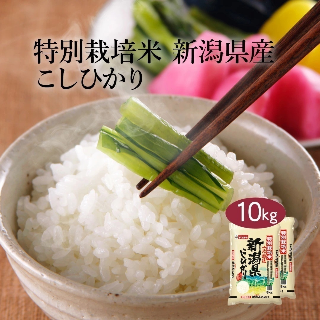 米 精米 新潟県 特別栽培米 こしひかり 10kg 5kg 2セット 令和6年産 JA北越後指定 お米 こめ 10キロ 安い おこめ 白米 国産 食品 ギフト 内祝い 送料無料 おくさま印