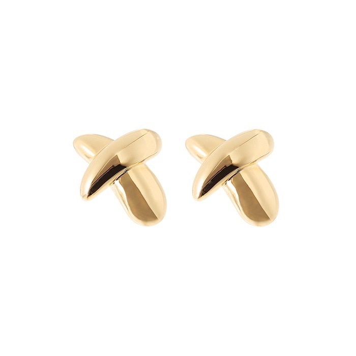 鋭利由羅キムソヨンパクジュミ着用DAYZ Large Plumpy Cross Earrings/韓国の人気ブランド 韓国正規品 韓国の人気商品 韓国ファッション 韓国ジュエリー デイリーアクセ