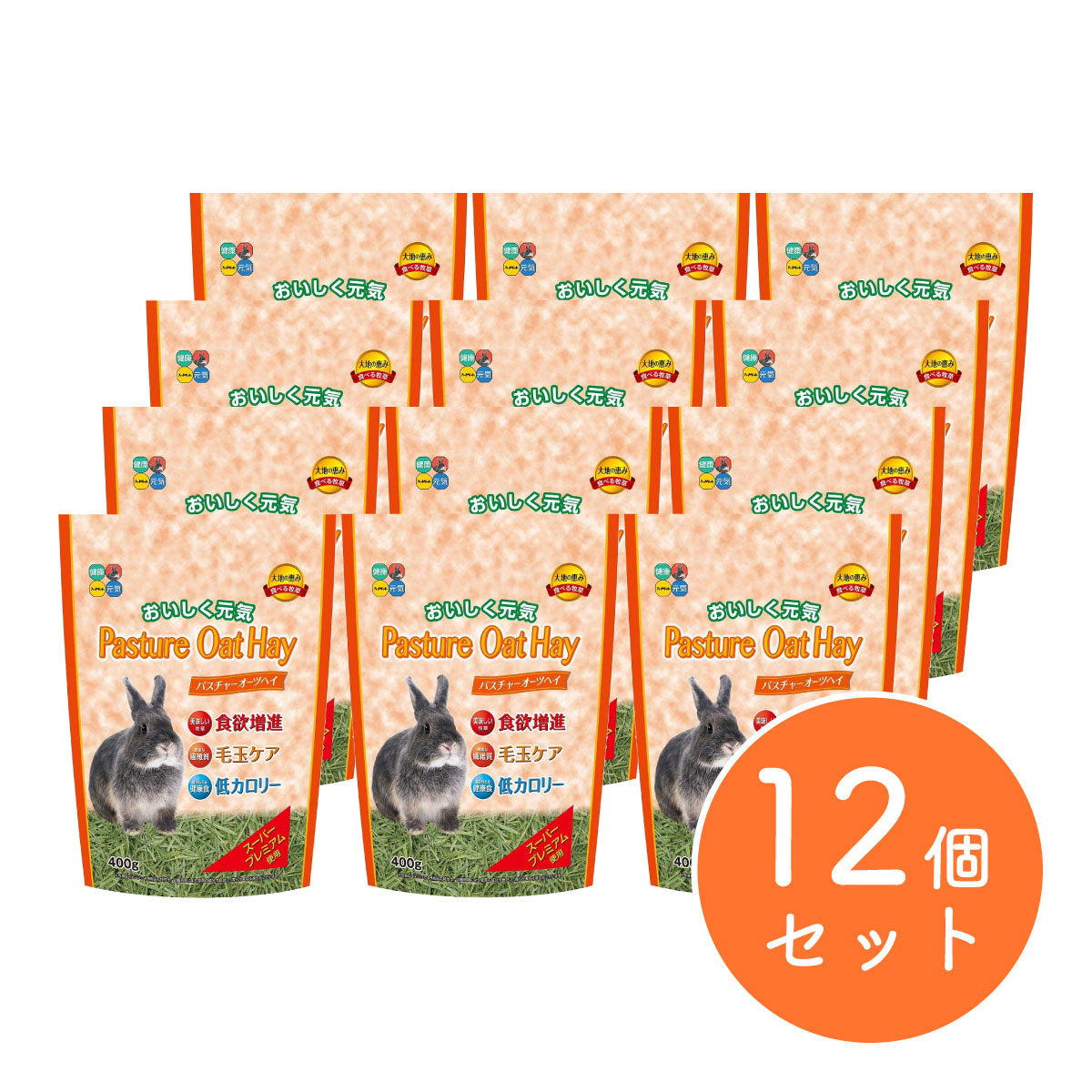 【在庫有・即納】ハイペット パスチャーオーツヘイ 400g×12個セット 牧草 ウサギ うさぎ 低カロリー 毛玉ケア オーツ麦 モルモット 小動物