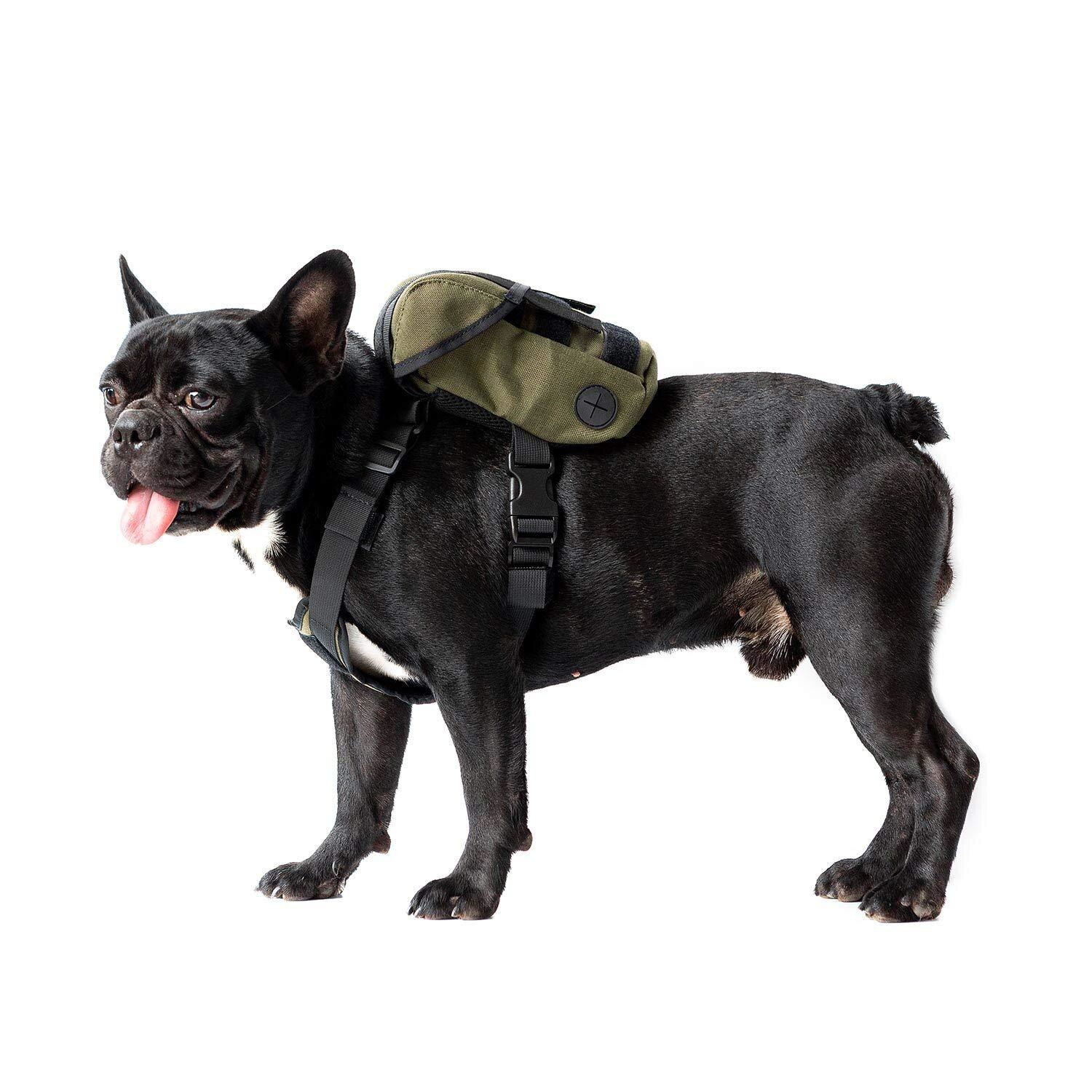 OneTigris Eureka K9 Backpack， Durable Small Medium