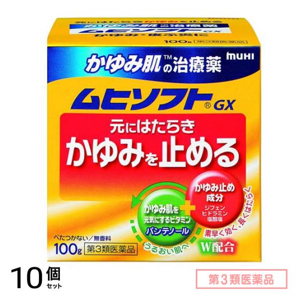 第３類医薬品 ムヒソフトGX 100g 10個セット