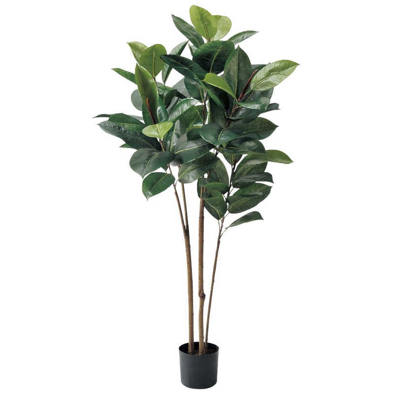 アスカ商会　フェイクグリーン ラバーツリー グリーン　A-50802-051A 12,698円