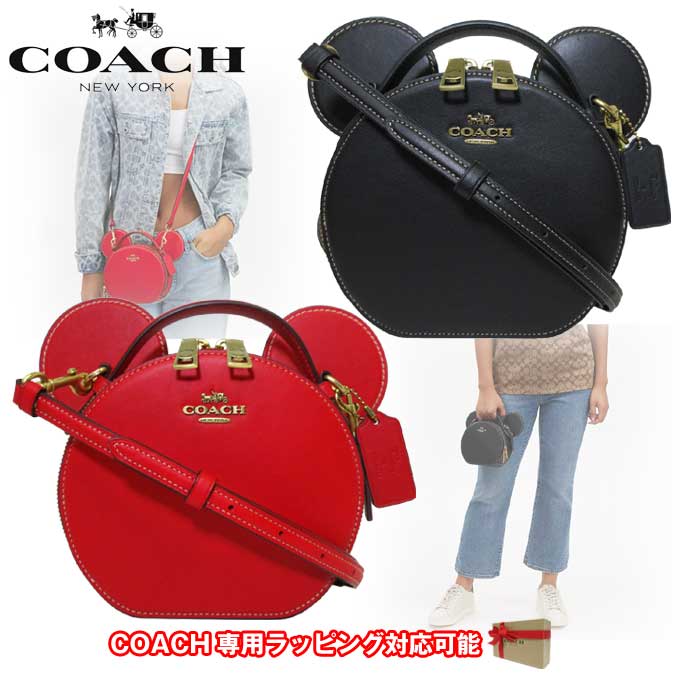 ディズニー コラボ ホリデー キャンティーン CM194 B4/BK/CM194 B4RHMX【国内即送】