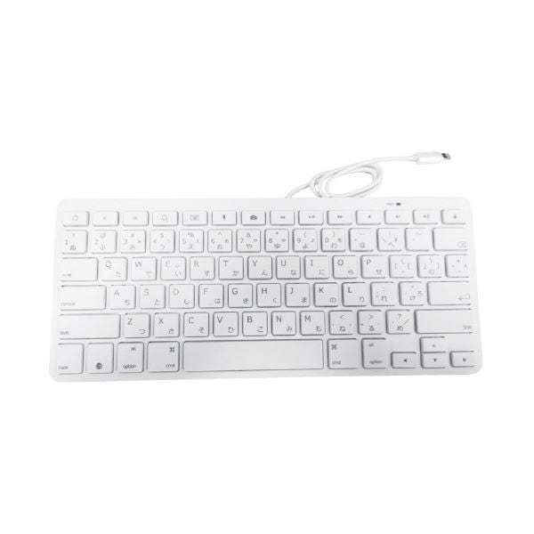 HIDISC Lightning端子接続有線キーボード 6,905円