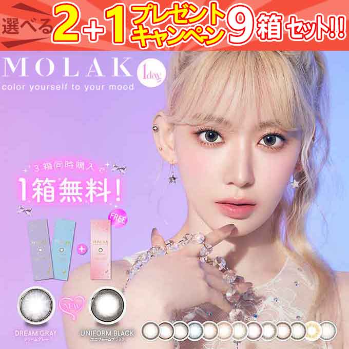 計9箱(6箱60枚+3箱30枚プレゼント)計90枚 カラコン 1day モラク 度なし 度あり ワンデー カラーコンタクト ワンデー inter 14.2mm1day