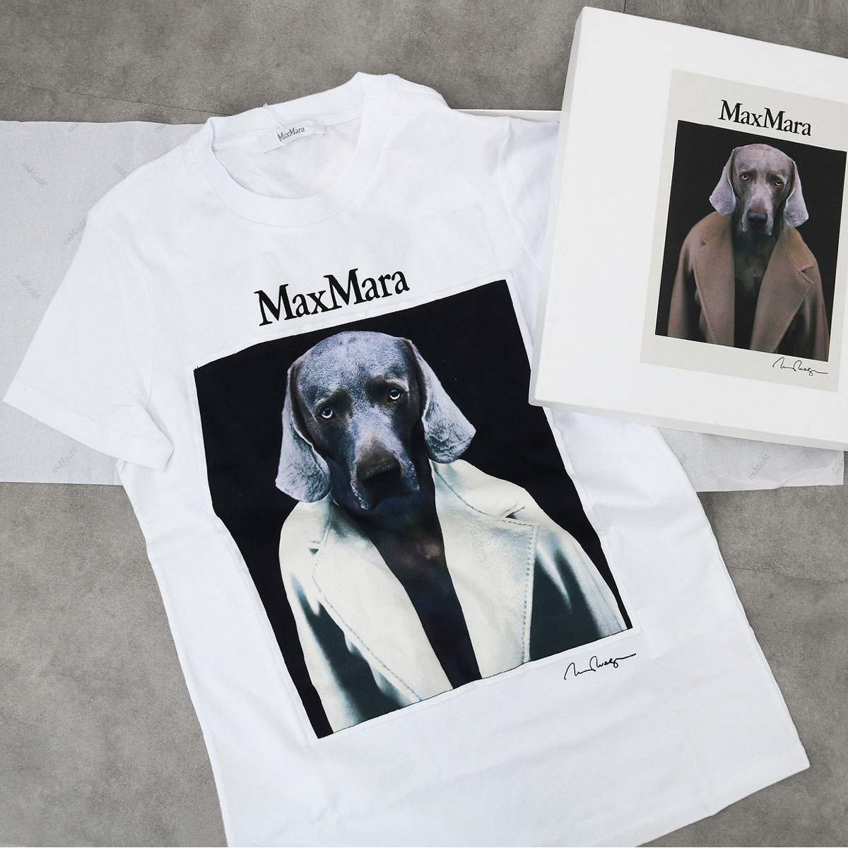 CIPRIA チプリア レディース半袖Tシャツ 013 ウィリアム・ウェグマン ピュア コットン ジャージー カットソー ロゴ コットン ドッグプリント