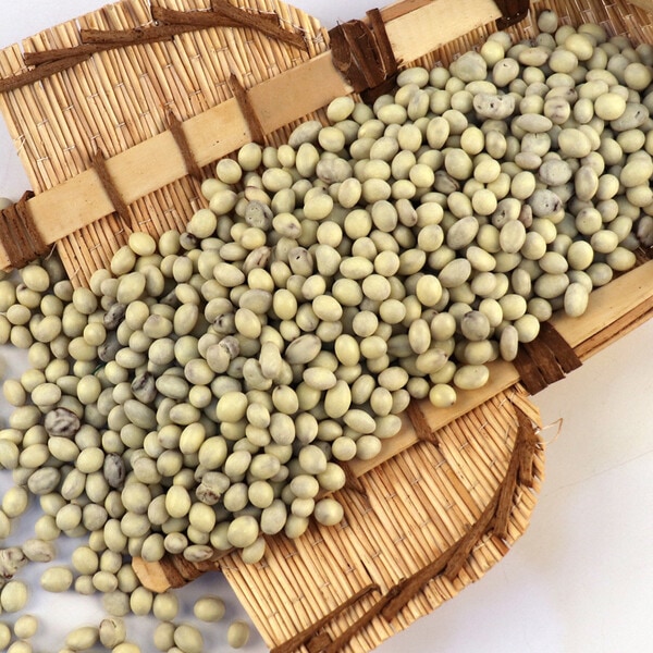 PMR-レーズンヨーグルトチョコ1kgX2/大容量業務用小分け用クッキーキャンディー乾パン