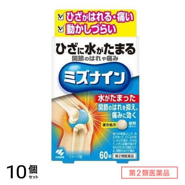 第２類医薬品 ミズナイン 越婢加朮附湯 60錠 10個セット