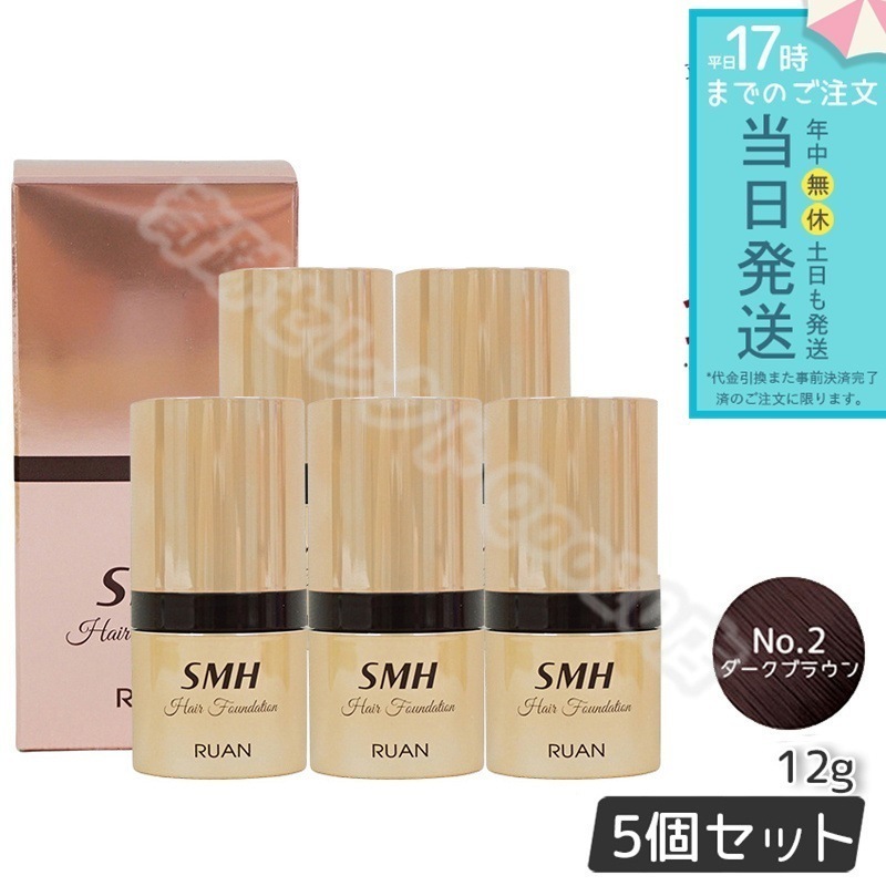 【5個セット】 ルアン スーパーミリオンヘアー SMH ヘアファンデーション 12g No.2 ダークブラウン 髪 頭 薄毛隠し薄毛 分け目 つむじ ふりかけ 白髪かくし