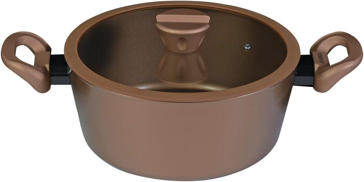 VISIONS 両手鍋 シチューポット 24cm IH対応 ガラス蓋付 GOLD Coating CP-8810