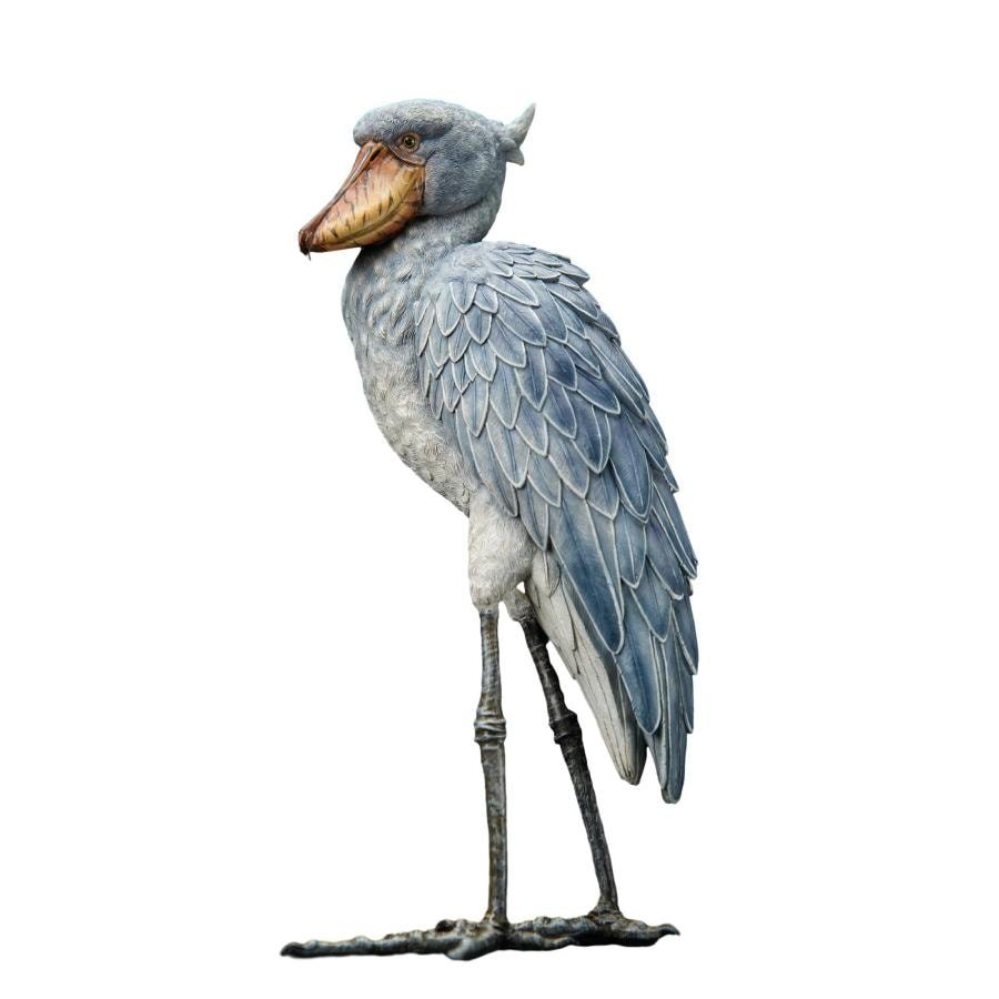 博物志 ハシビロコウ 25cm級 フィギュア シュービル 模型 ペリカン目ハシビロコウ科 絶滅危惧種 置物 リアル オリジナル オブジェ 工芸品 贈り物 プレゼント