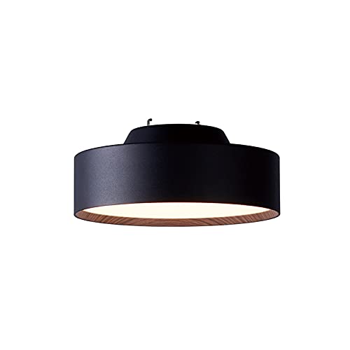 ARTWORKSTUDIO Glow mini LED ceiling lamp ブラック / ライ