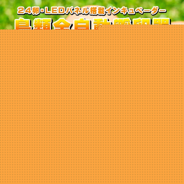 インキュベーター 鳥類全自動孵卵器 孵卵 ふ卵 孵化 ふ化 器 機 装置 機械 自動転卵 鳥 うずら ウズラ にわとり ニワトリ ひよこ 文鳥