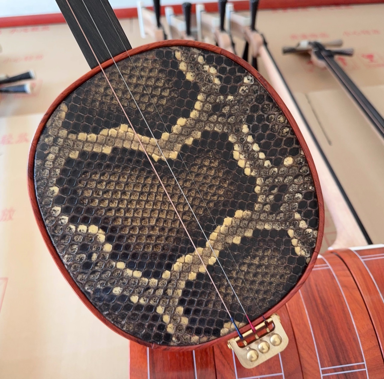 三味線 124cm 中国の弦楽器