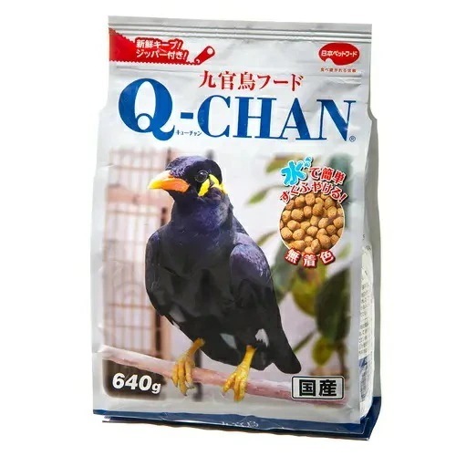 【10個セット】九官鳥フードキューチャン640g