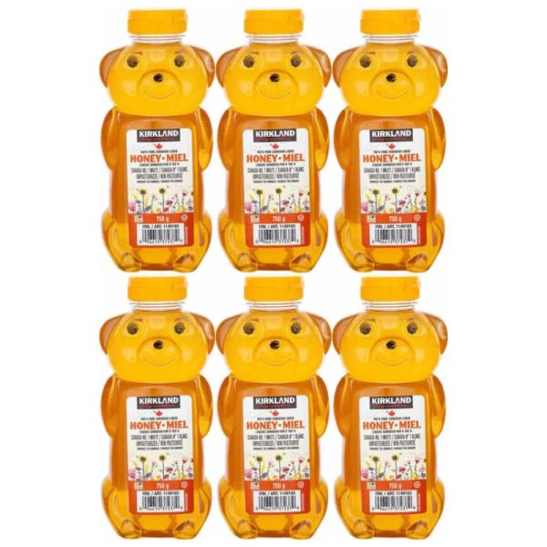 カーク ランド はちみつ ベアージャグ 750g 6本セット 賞味期限2027年2月25日