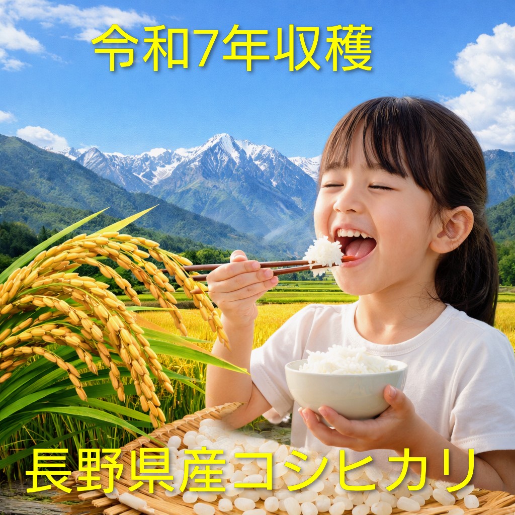長野県産コシヒカリ 白米20ｋｇ(10kgx2)　令和７年産　農家直送　精米仕立て　国産米