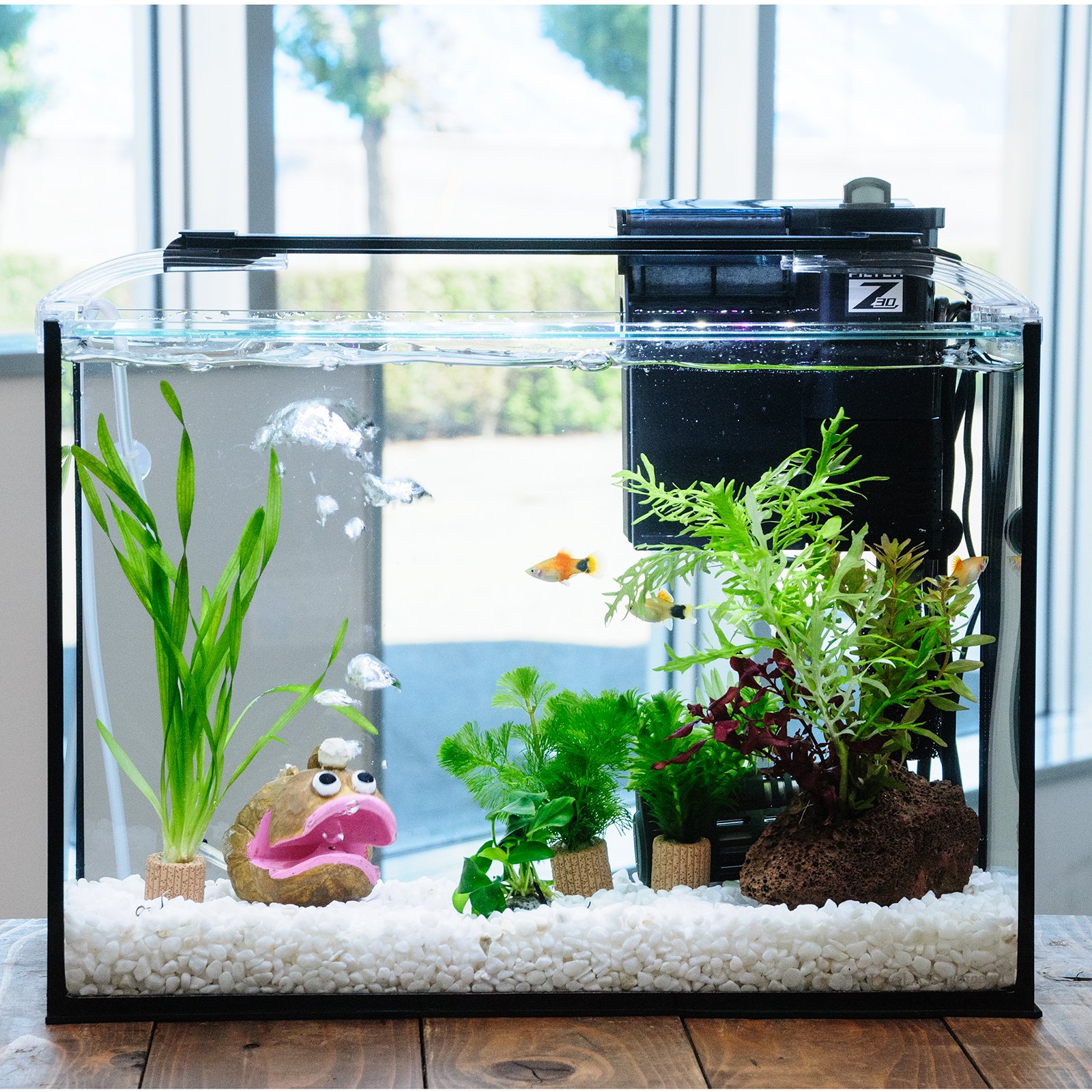 （熱帯魚）（水草）簡単イエローミッキーマウスプラティ飼育水草レイアウトセット　４０ｃｍ水槽　アンコウｖｅｒ．　本州四国限定　ＣＲＣ10―11―03―30―20