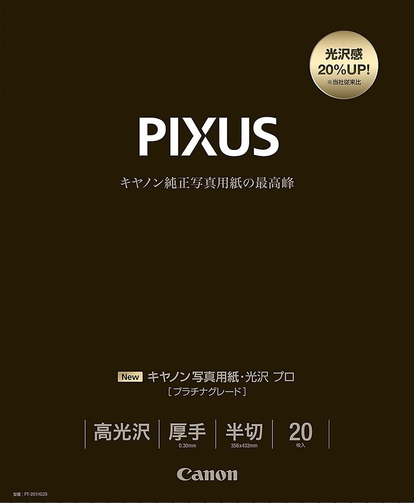 写真用紙 光沢 プロ プラチナグレード 半切 20枚 PT-201HG20