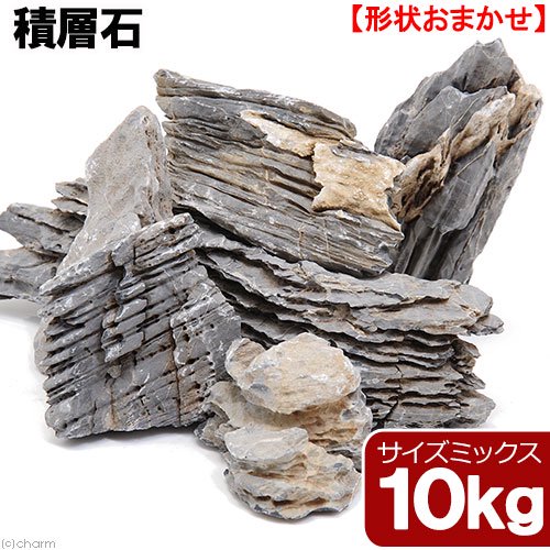 形状お任せ　積層石　サイズミックス　１０ｋｇ　６０ｃｍ水槽向け　アクアリウム　レイアウト素材　ＣＲＣ21―20―55―00―00