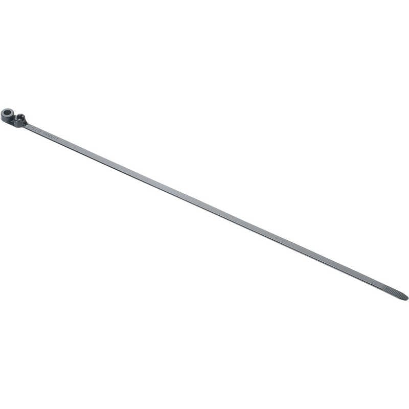 パンドウイット　パンドウイットネジ止めタイプステンレス爪ロック式結束バンド黒(250本入) 　BC4LHS25TL0