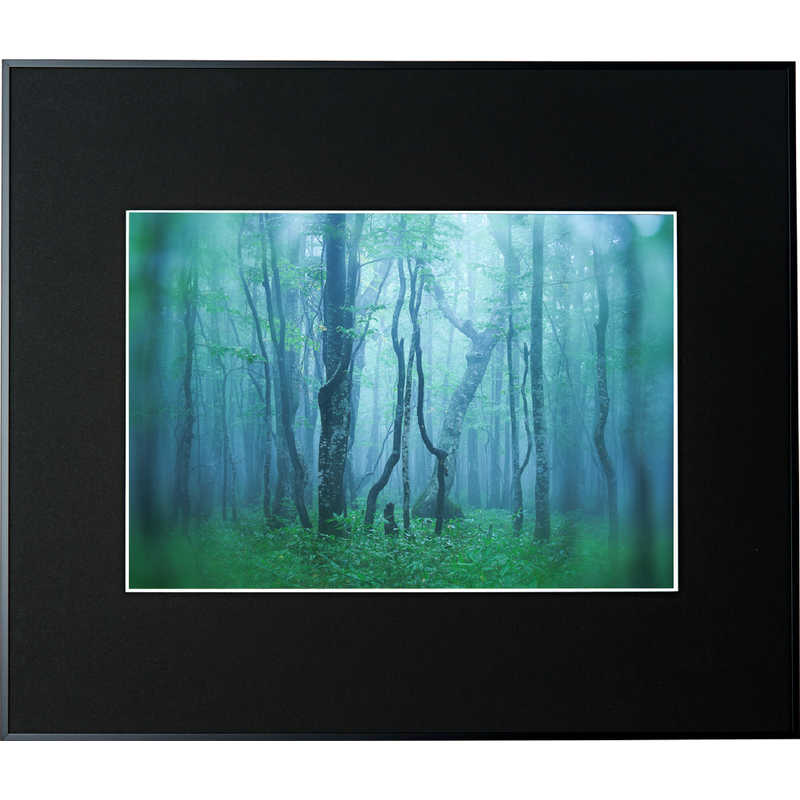 ケンコー　ギャラリー A3 ブラック　AGY-A3-BK