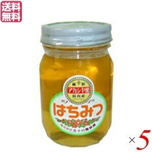 はちみつ 蜂蜜 国産 五十川養蜂園 国産はちみつ アカシア 500g ５個セット
