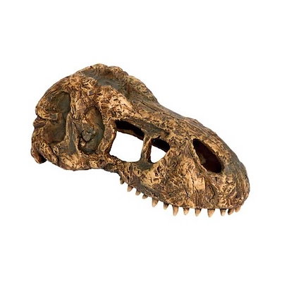 他サイト： ＧＥＸ　エキゾテラ　Ｔ－ＲＥＸ　スカルＳ　ＰＴ２８６０　爬虫類　レイアウト　置物　ＣＲＣ17―85―80―00―00の商品画像