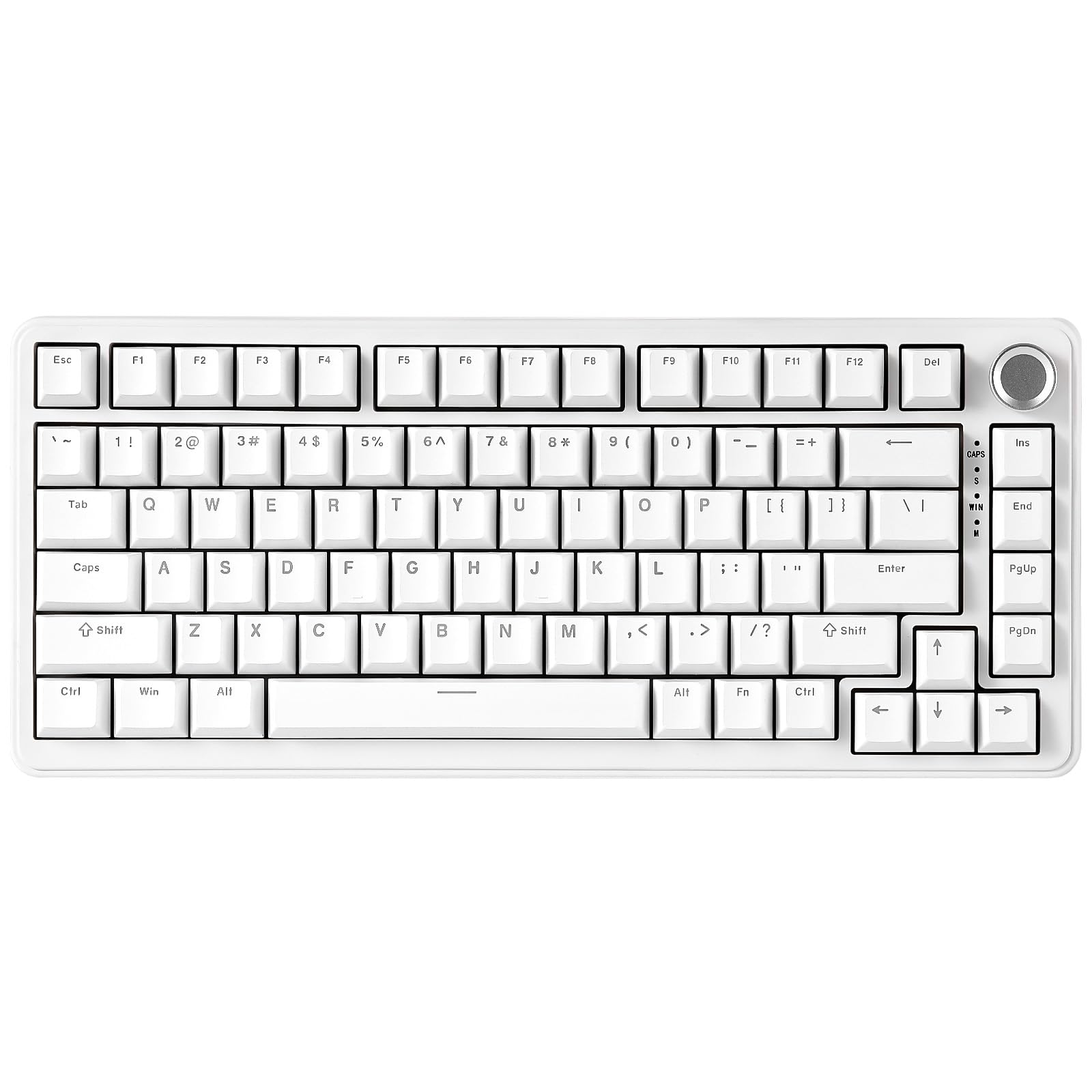 YUNZII B75 75% 有線 メカニカルキーボード ホットスワップ対応 ガスケット搭載 RGBバックライト 高耐久 英語配列 PBTキーキャップ チェリープロファイル Win/Mac用 (ホワイ