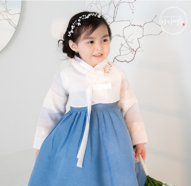 韓国伝統的な女の子の韓服 子供の韓服 幼児の韓服 韓国の伝統服 キッズ ベビー ハンボック 韓国服 韓国ファッション 祭り 祝日 着物 浴衣