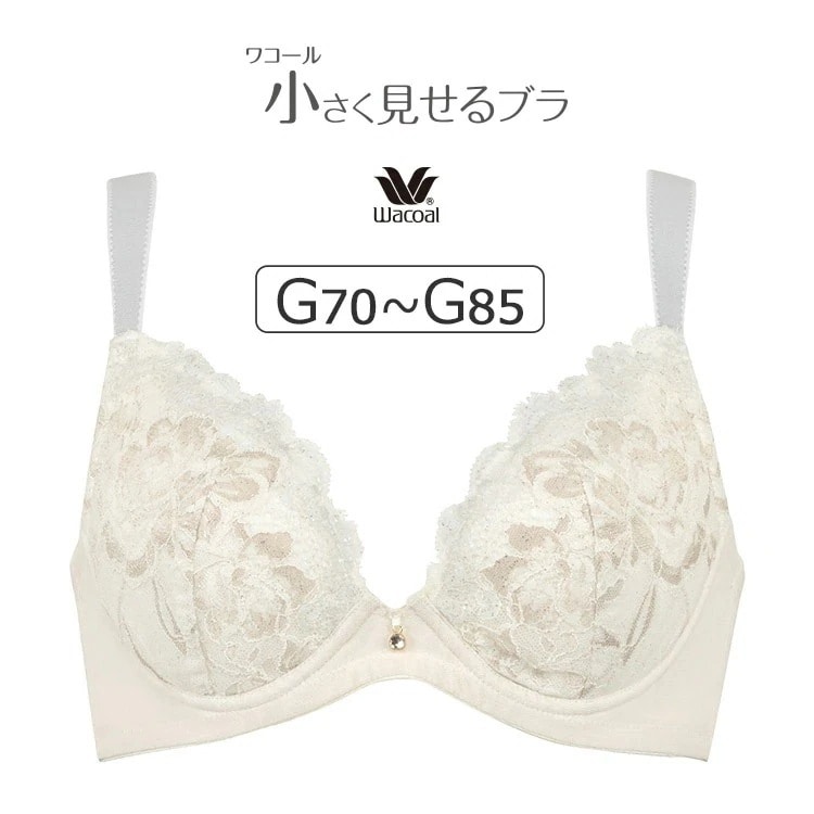 ワコール 小さく見せるブラ （メッシュ） BRB329シリーズ ブラジャー単品 Gカップ アンダー70/75/80/85cm BRB329