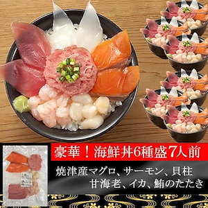 7人前　静岡県焼津港で水揚げされた新鮮マグロを使用　　これぞ海の玉手箱豪華6種の海鮮丼セット7人前
