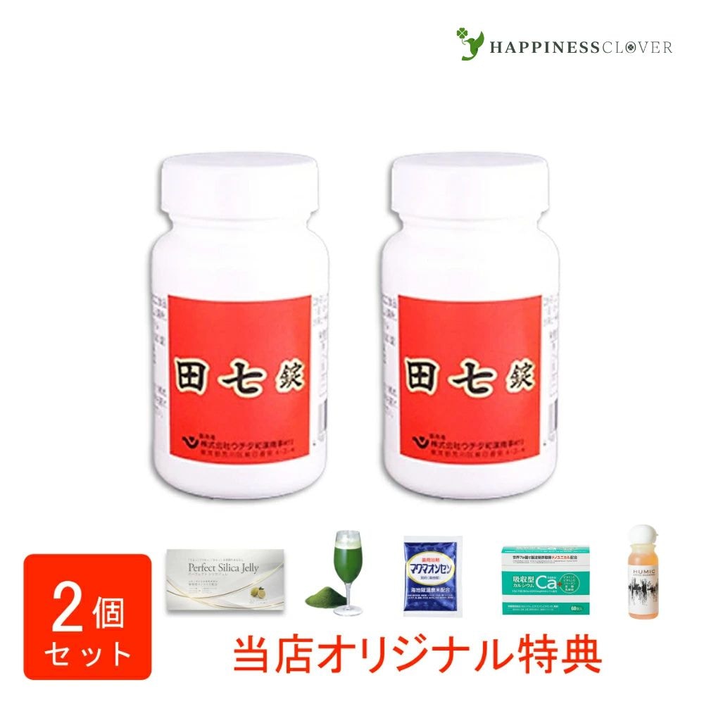 【選べるおまけ付き】【2個セット】田七錠 300錠2箱でんしち ウチダ和漢薬