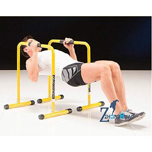 ディップススタンド 人気 筋トレ 全身 トレーニング可能 懸垂運動 斜め懸垂 筋力 自宅 エクササイズ 腹筋 胸筋 腕 背中 広背筋 筋肉 強化 腕立て伏せ プッシュア