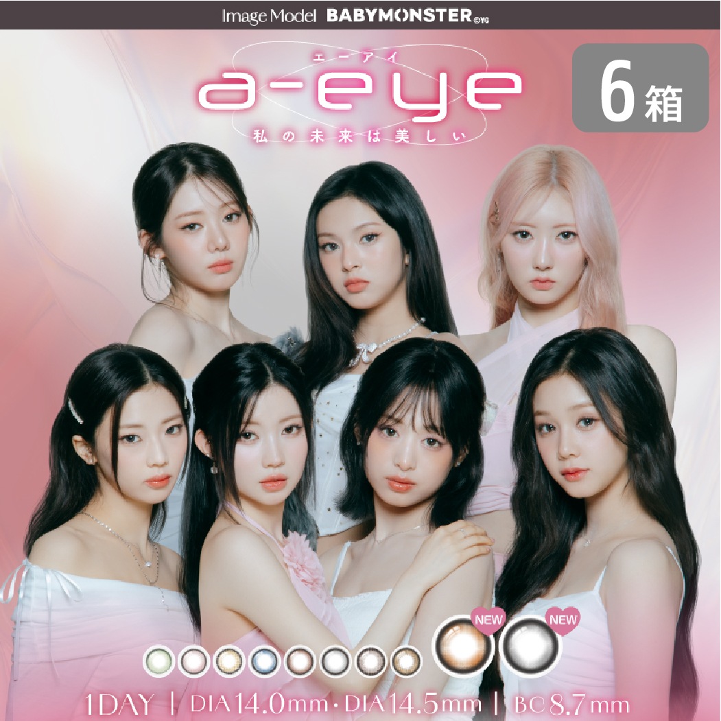ワンデーリフレアa-eye 6箱セット （1箱10枚）エーアイ