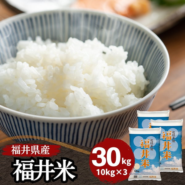 ハナエチゼン 米 15kg 5kg×3袋 福井県産 白米 令和6年産 送料