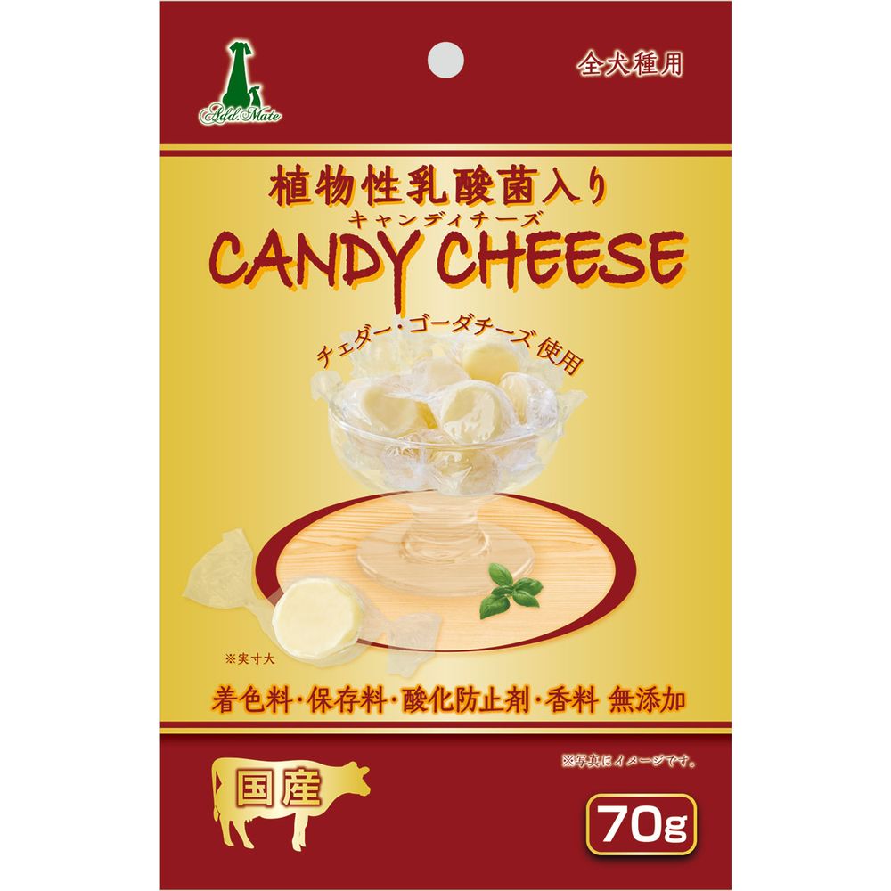 （まとめ買い）キャンディチーズ 乳酸菌入り 70g 犬用おやつ [x6]
